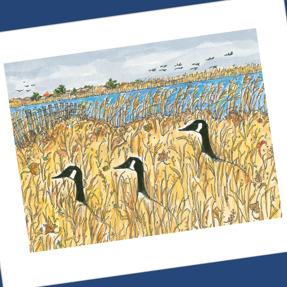 NOVEMBER 2024 4x5 Postcards with Envelopes - SET OF 10