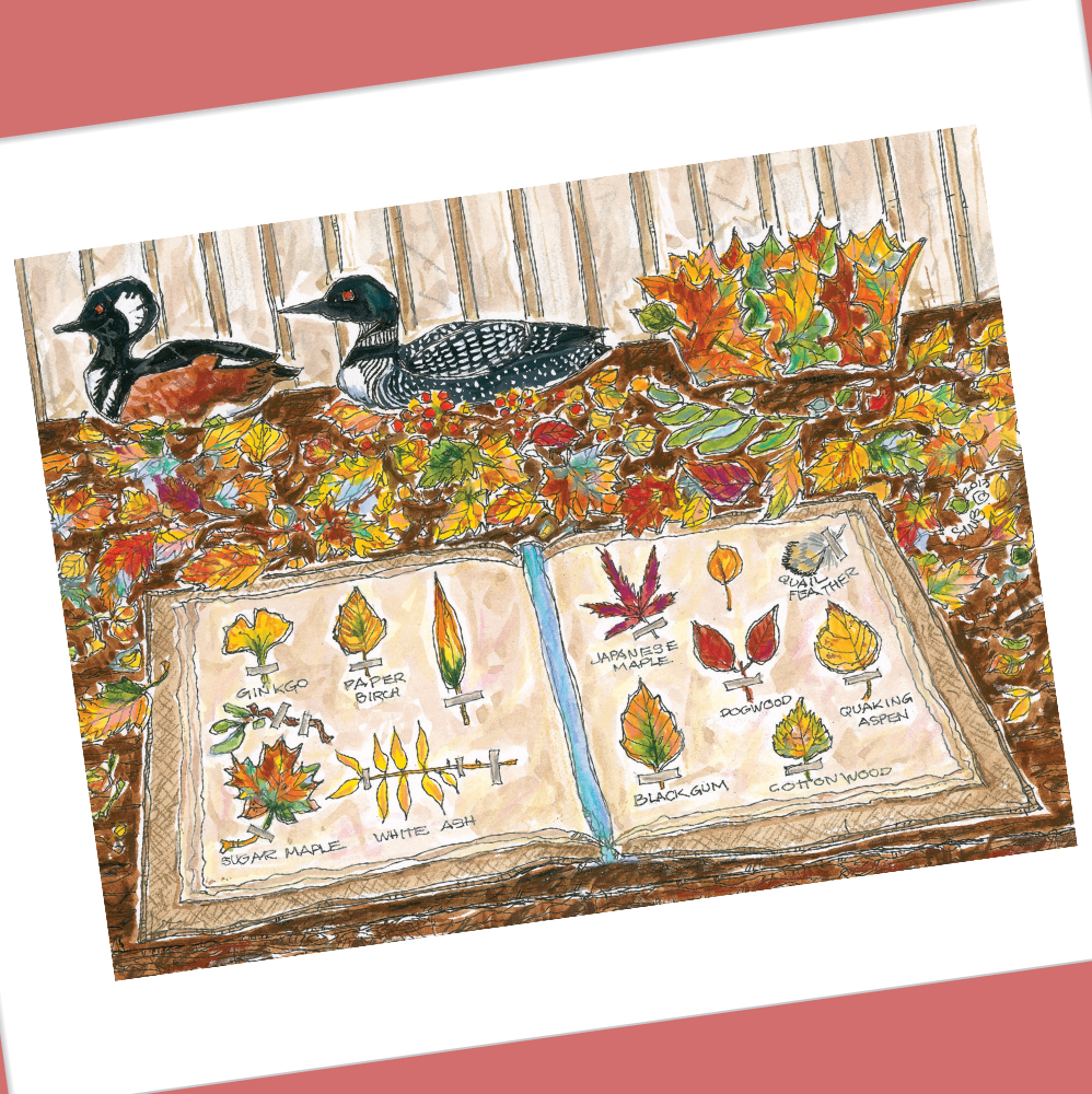 NOVEMBER 2025 4x5 Postcards with Envelopes - SET OF 10